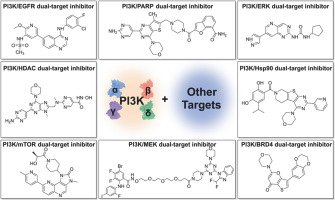 Advancements in dual-target inhibitors of PI3K for tumor therapy