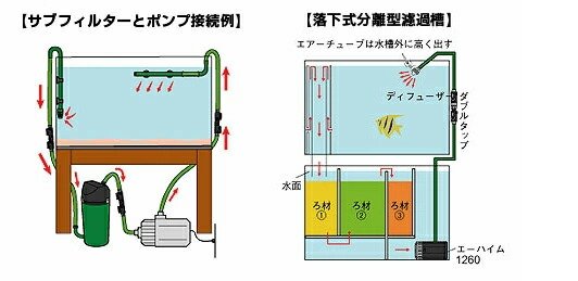 楽天市場】エーハイム 水陸両用ポンプ 1262 (流量3400L/h、淡水・海水