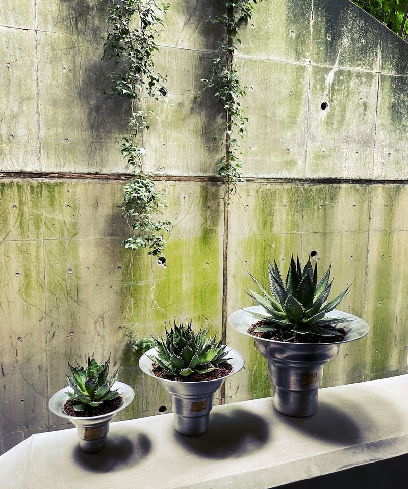 CATEGORY PLANT POT | MASSES OFFICIAL ONLINE STORE