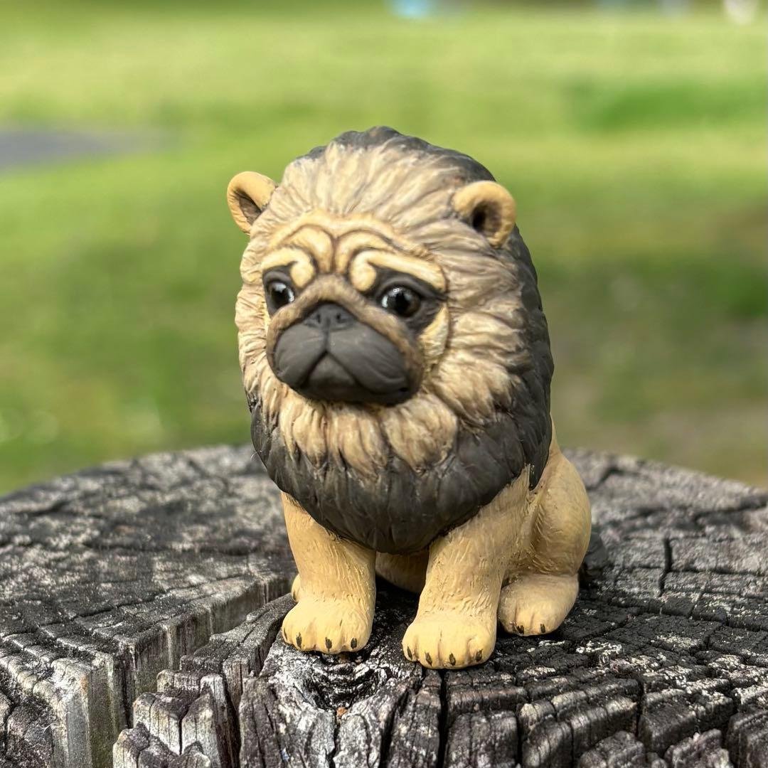 ライオンパグ(完全1点もの) ALO🐶アロ | キューキュー言ってます🍑 美味しいとわかったら 甘えて