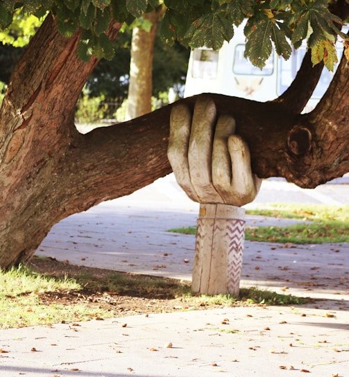 Ingos Salos projektas